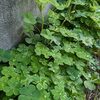 小3の初の授業参観