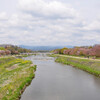 名残の桜