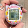 レディースニット！