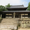 太宰府・観世音寺と戒壇院の椿