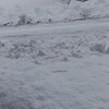 １月２８日、雪景色　やん～‼️