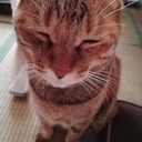小夜里
