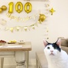 100日祝いを飾る猫たち