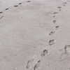 家族の時間。