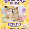 Doge Day 2024 in Chiba, Japan柴犬かぼすちゃんのイベント