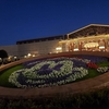 カラフルなお一人様&#127984;　反芻編　その&#65297;　黄色い幸せ&#128077;