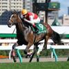 競馬初心者必見☆馬券予想🔥〜クイーンステークス〜購入馬券大公開㊙︎