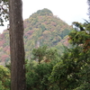 円文螺鈿鏡鞍　武蔵御嶽神社