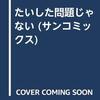 たいした問題じゃない