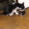 ヒロくんの長かった日