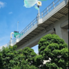 world canvas試す