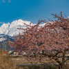 今年のお気に入り_2024年3月
