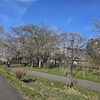 今日の札幌散歩(4/25)