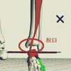 足部（距腿関節）ROM時の関節状態についての3D解析