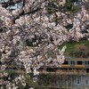 鉄道撮影　桜　中央線　飯田橋－市ヶ谷