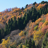 晩秋の里山