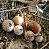 職場体験の現場より
