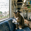 なぜ貯金ができないのか真剣に考えてみる