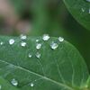 雨上がり