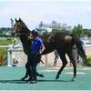 【キャロットクラブ】トゥザクラウン３連勝へ！