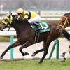 競馬初心者必見☆馬券予想🔥〜阪急杯〜購入馬券大公開㊙︎