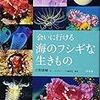「会いに行ける海のフシギな生きもの」