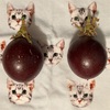 お正月、パッションフルーツの実が2個同時に落ちた Presents from a passion fruit tree.
