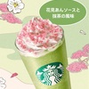 桜の新作フラペチーノが登場！