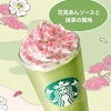 桜の新作フラペチーノが登場！