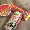 札幌で出会ったガラナ物件やらカツゲンやら土産チーズやら