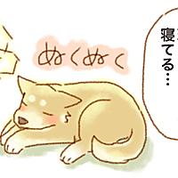 大脱走とは 映画の人気 最新記事を集めました はてな