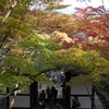 常寂光寺の紅葉2025：見頃と色づき状況、混雑を避ける方法！