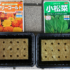 夏野菜と、ちょっと花のある暮らし  