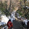 勝俣部長の「高尾登山と健康体質「作り」４９６････バカな意地