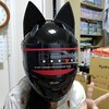 猫ヘル買っちゃったー♪