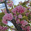 ふときづいたら