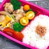 ヨメさん弁当〜唐揚げ・豚コマとタマネギの卵とじ〜