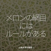 1805食目「メロンの網目にはルールがある」山梨大学が発見！