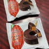 ミレーナ装着２６日目。チョコレート依存気味、そして押し寄せる尿意。