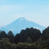 今朝の景色