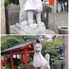 白狐　～　土佐稲荷神社　～