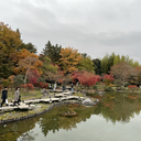 ある大学生の雑感をまとめるだけのブログ
