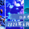 2023年6月19日【日本市場】日経は大幅反落で久しぶりの売り方勝利　海外資金が限られる中で様子見気分が強かったか