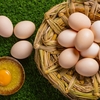 雞蛋膽固醇怎麼怎麼吃？