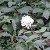 秋風のふるさと公園