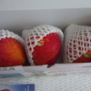 ふるさと納税で沖縄からマンゴーが届きました【グルメレビュー】