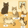 2025年2月22日のねこの日に開催されるイベント