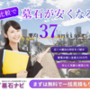 お墓の引っ越し、何から始める？知っておきたい「墓じまい」3つの相談先と手続き
