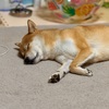 さよなら2万円