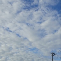 晴れの特異日？